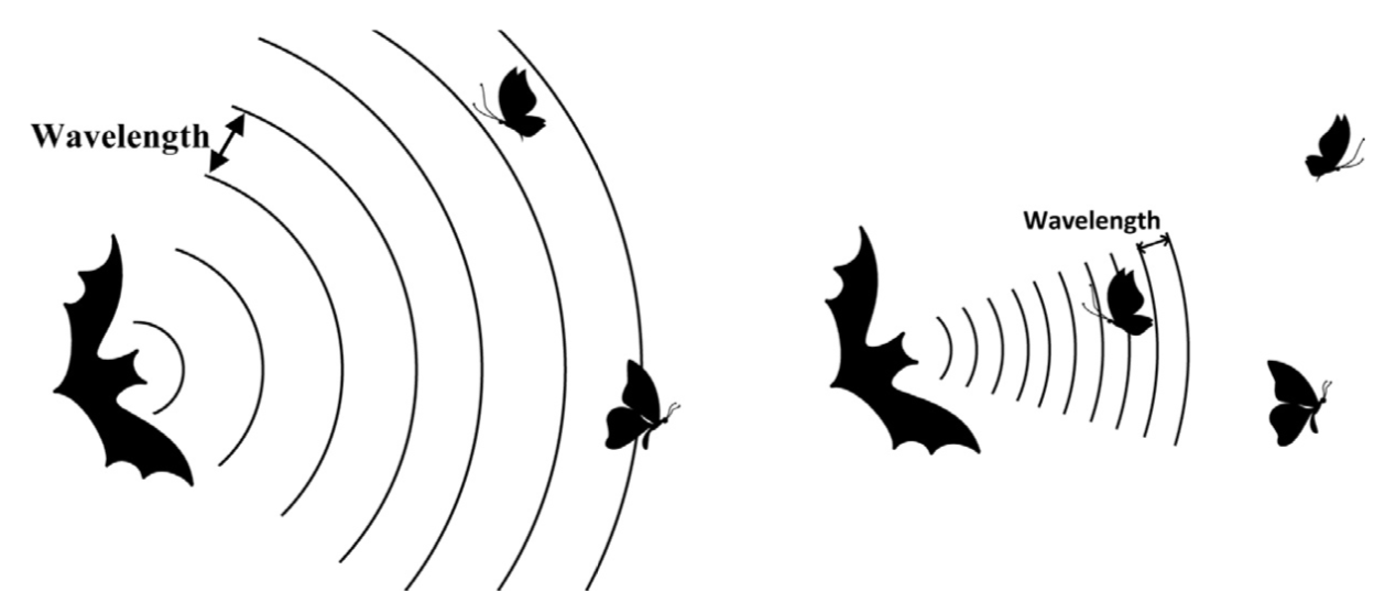 《哥谭骑士》暗示:在蝙蝠侠的阴影下
